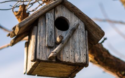 Casas de Aves